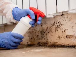 Best Mold Odor Removal Services  in Pine Island, MN